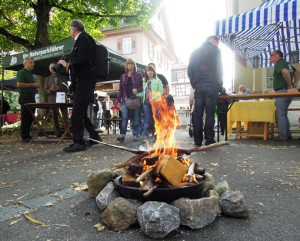 Die Naturparkführer Schwäbisch-Fränksicher Wald