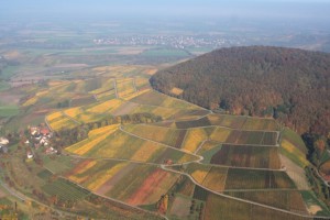 Geführte Wanderung mit Naturparkführerin Sabine Rücker