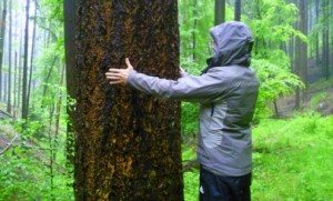 Geführte Wanderung mit Naturparkführerin Petra Kuch