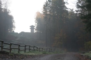 Geführte Wanderung mit Naturparkführerin Michaela Köhler