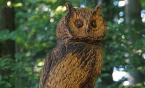 Geführte Wanderung mit Naturparkführerin Gisela Weigle