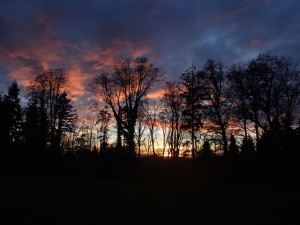 Raunacht-Lichterwanderung