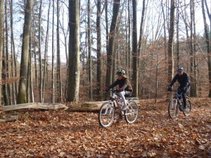 Mit dem Mountainbike durch den Winterwald