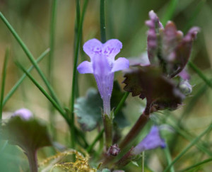 Fit in den Frühling
