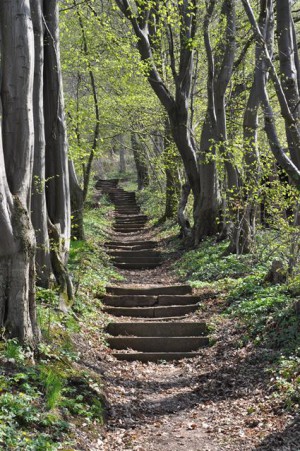 Naturpark aktiv - Alte Geschichten und neue Weine