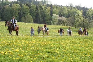 Naturpark aktiv - Auf dem Rücken der Pferde