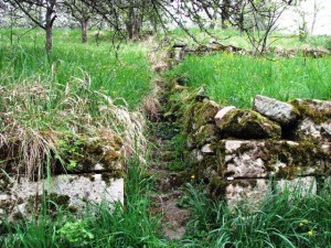 Naturpark aktiv - Wie aus dem Wengert die Streuobstwiese wurde