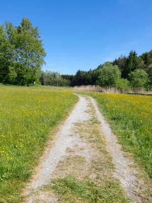 Naturpark aktiv - Soweit die Füße tragen