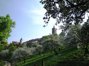 Wie das Wasser das Bergsteigen lernte