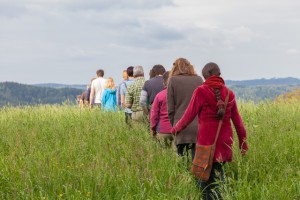 Zehn Dinge, die Sie über den Wald wissen sollten