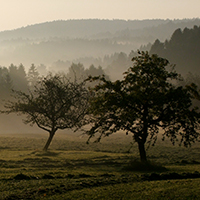 Impulse von der Natur empfangen