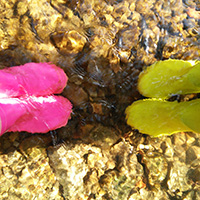 Gummistiefeltrekking im Mühlbachtal