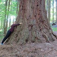 Impulse von der Natur empfangen