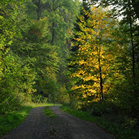 Auf alten Handelsstraßen durch die Berglen