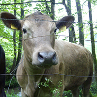 Der Haselbach-Rundweg mal anders
