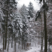 Zu den Holzplätzen der Flößer