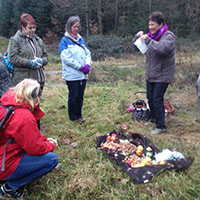Waldweihnachtswanderung
