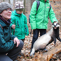 Den Wildtieren auf der Spur
