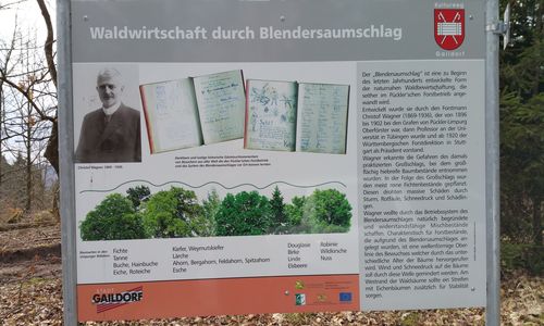 18.03.30 Np aktiv Diemer Naturpark aktiv: Der Gaildorfer Kulturweg und was er verschweigt