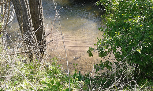 Auf Gewässersuche rund um Neuhütten
