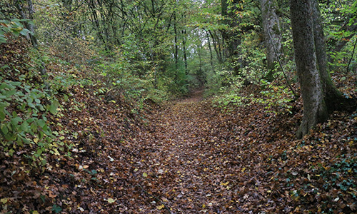 Naturpark aktiv Auf den Spuren der Schenken von Limpurg Naturpark