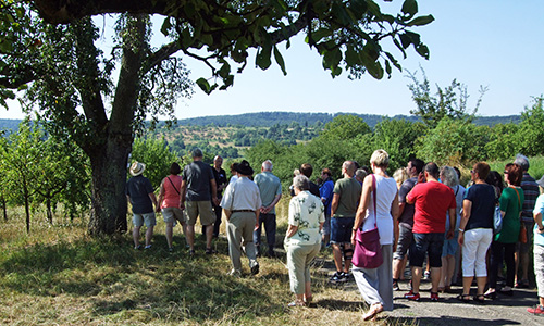 Winterbananen und Palmischbirnen