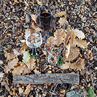 Eiche trifft Wein