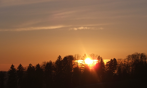 Alfdorfer Aus- und Einsichten
