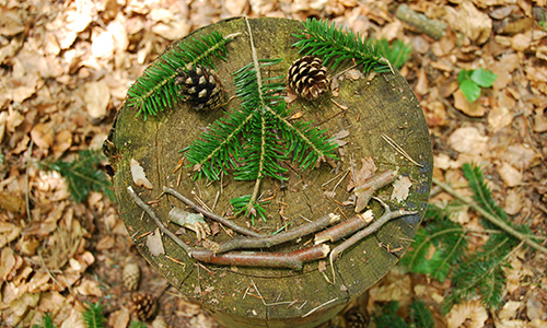 Für Waldentdecker und Wiesenforscher