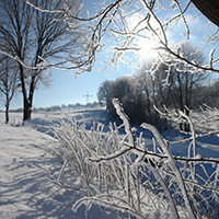 Ob es diesen Winter wohl noch ein weißes Märchenland geben wird?