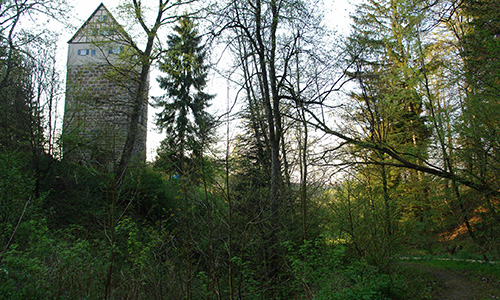 201011 NPaktiv Angstenberger Helene Naturpark aktiv   Schöne Wege, alte Kirchen und eine Turmhügelburg