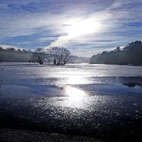 Eisige Schönheit am Ebnisee