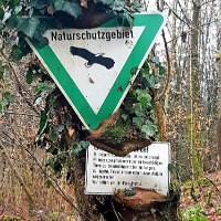 Baum umarmt Naturschutzgebiet