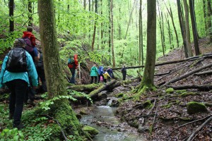 Wanderung mit Naturparkführer Peter Elsäßer