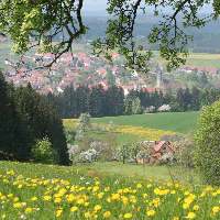 Im Naturpark - der Ausblick auf Kirchenkirnberg!