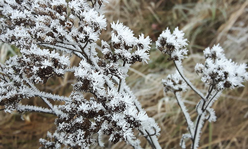 Naturpark aktiv 2021 - Winterwelt beim Weidenbach