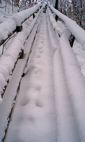 Winterschlaf - Winterurlaub - Winterpelz