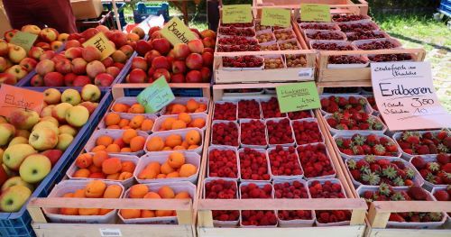 © Naturpark SFW Archiv