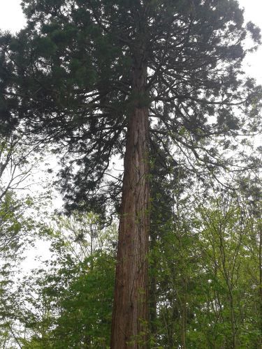 © Naturpark SFW Archiv