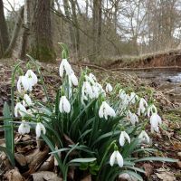 © Naturpark SFW Archiv