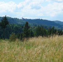 Naturpark aktiv 2023 Wo ist der Büchelberger Grat? Naturpark