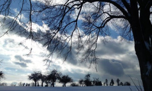 Winter im Naturpark Schwäbisch-Fränkischer Wald