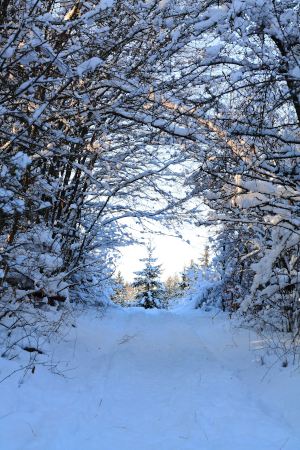 © Naturpark SFW Archiv