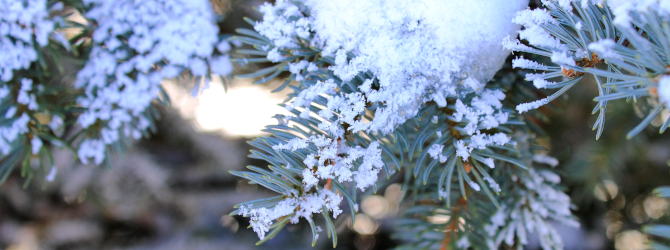 © Naturpark SFW Archiv