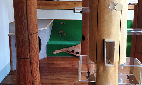 Die Naturpark-Erlebnisschau im Naturparkzentrum