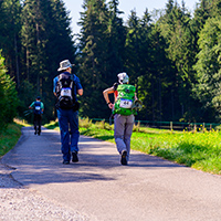 WaldMeisterWanderMarathon am 20. Tag des Schwäbischen Waldes