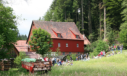 Am deutschen Mühlentag geben Mühlen Einblick in ihr historisches Innenleben