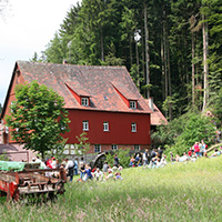 Am deutschen Mühlentag geben Mühlen Einblick in ihr historisches Innenleben