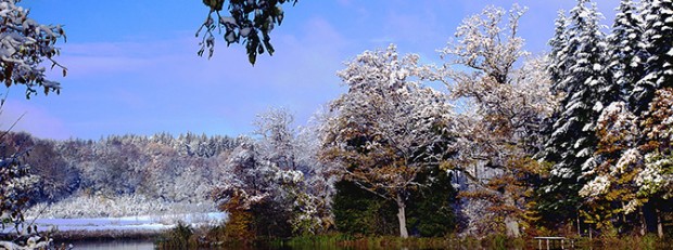 Winter am Neumühlsee bei Waldenburg (Foto: VDN, Gerhard Stier)