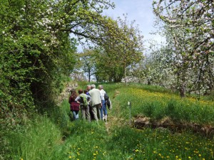 Wanderung mit Naturparkführer Peter Elsäßer